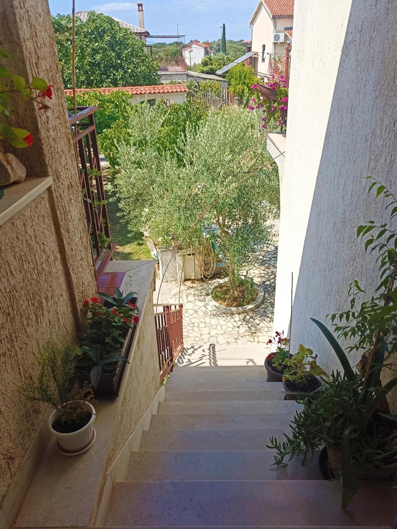 Apartments Villa Laura プーラ エクステリア 写真