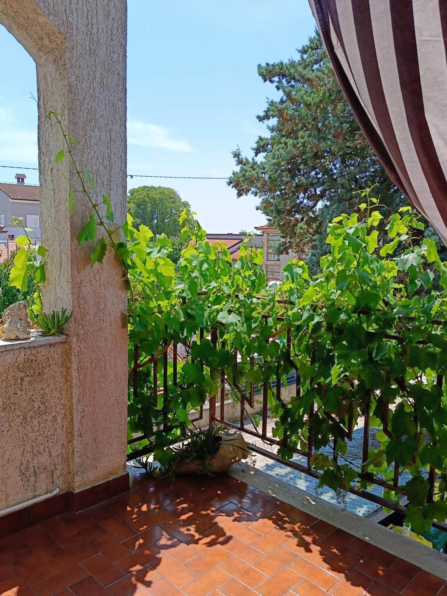 Apartments Villa Laura プーラ エクステリア 写真