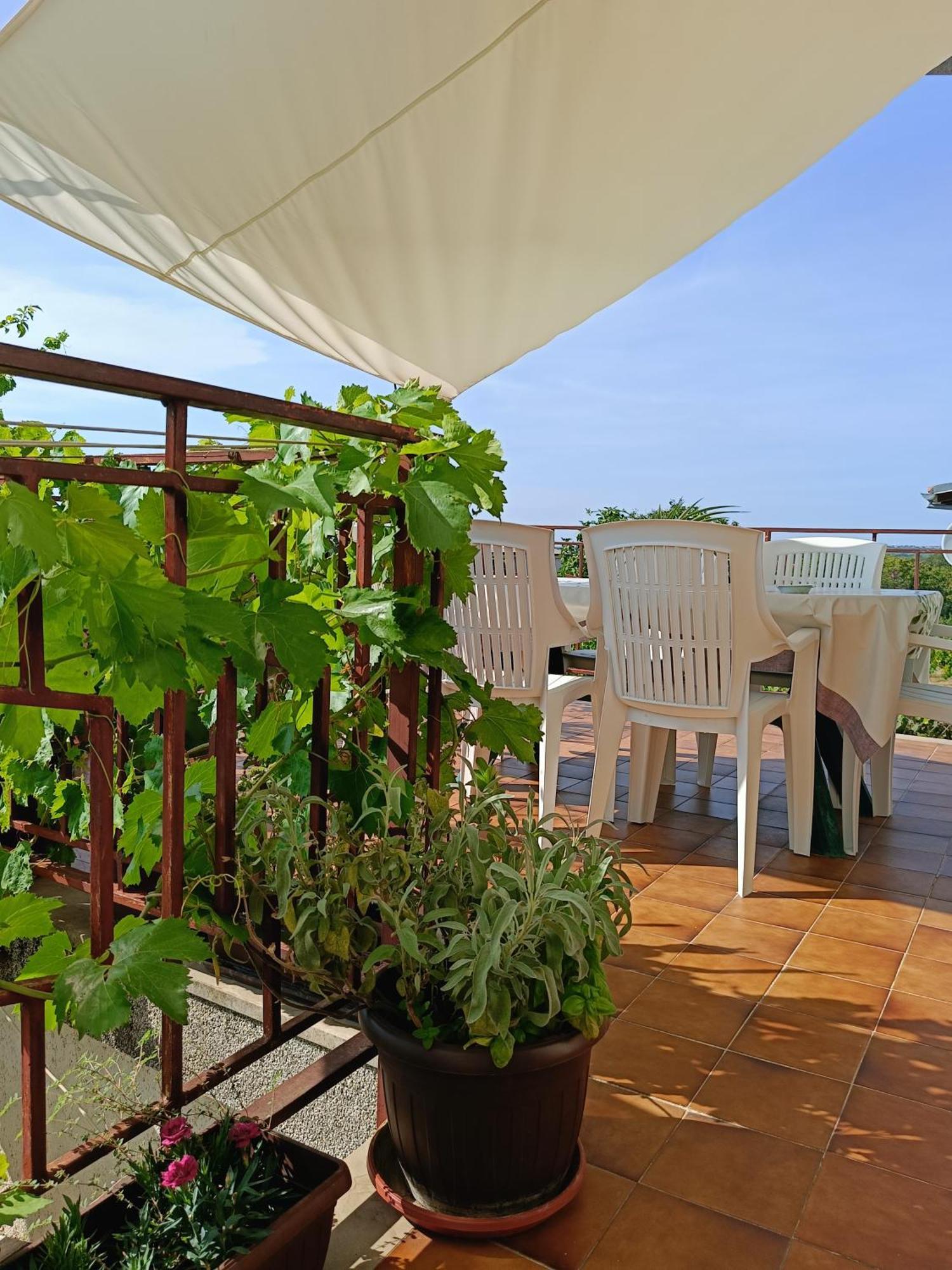 Apartments Villa Laura プーラ エクステリア 写真