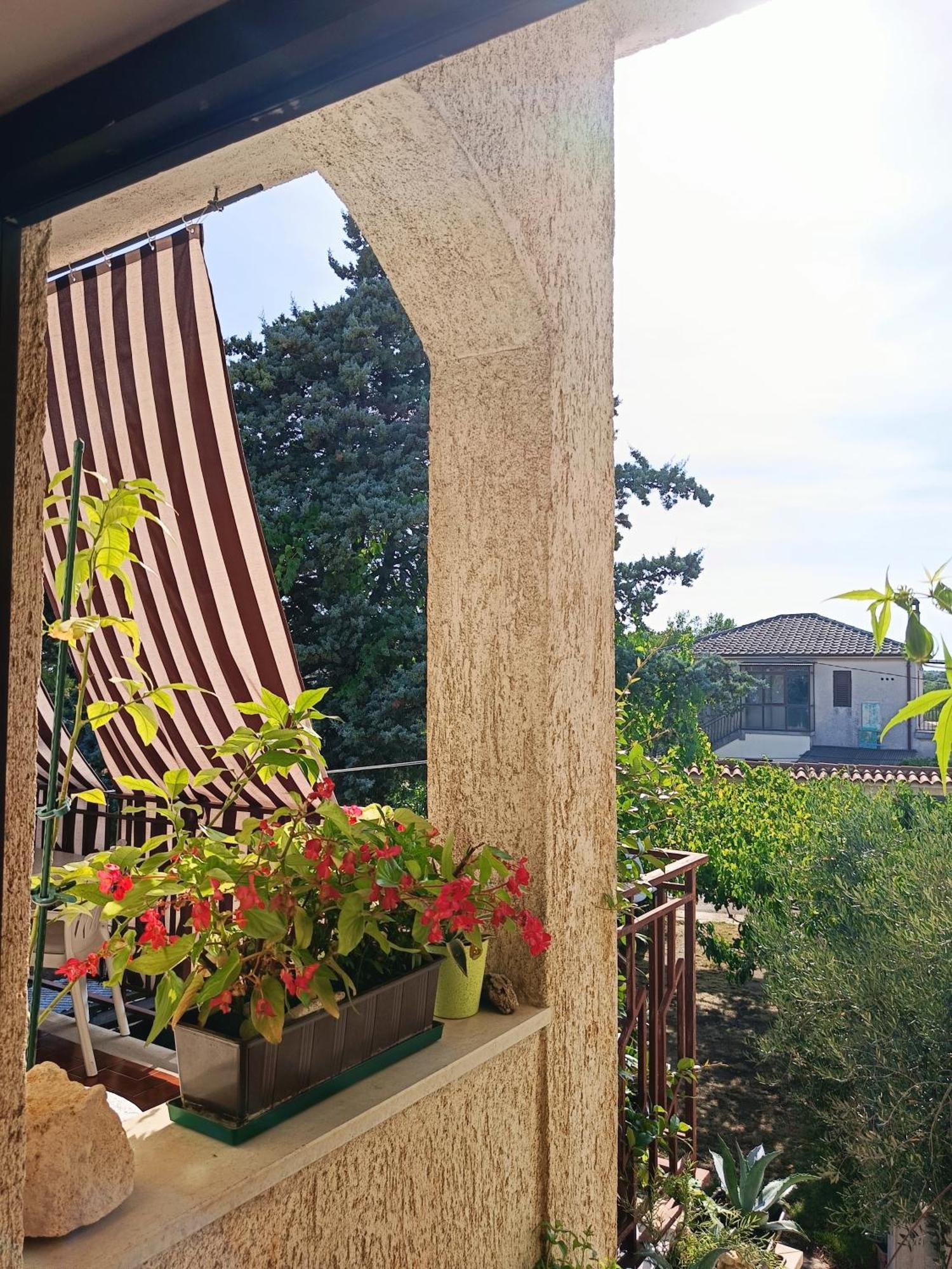 Apartments Villa Laura プーラ エクステリア 写真